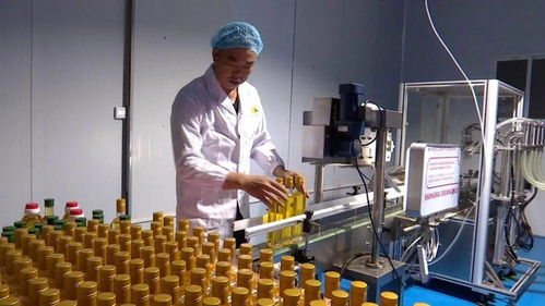 科技創(chuàng)新助力榕江山茶油產業(yè)實現(xiàn)自動化生產